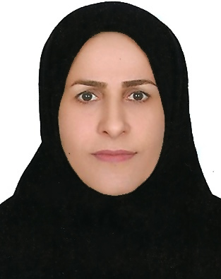 کارشناسان
